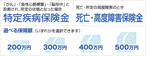 �ۏ���e�}