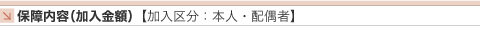 �ۏ���e