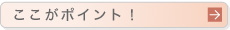 �������|�C���g�I